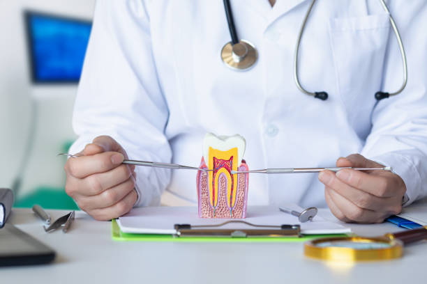 Best Emergency Treatment for Oral Infections in Greenwood, MO